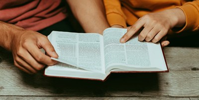 Rooted (young families)